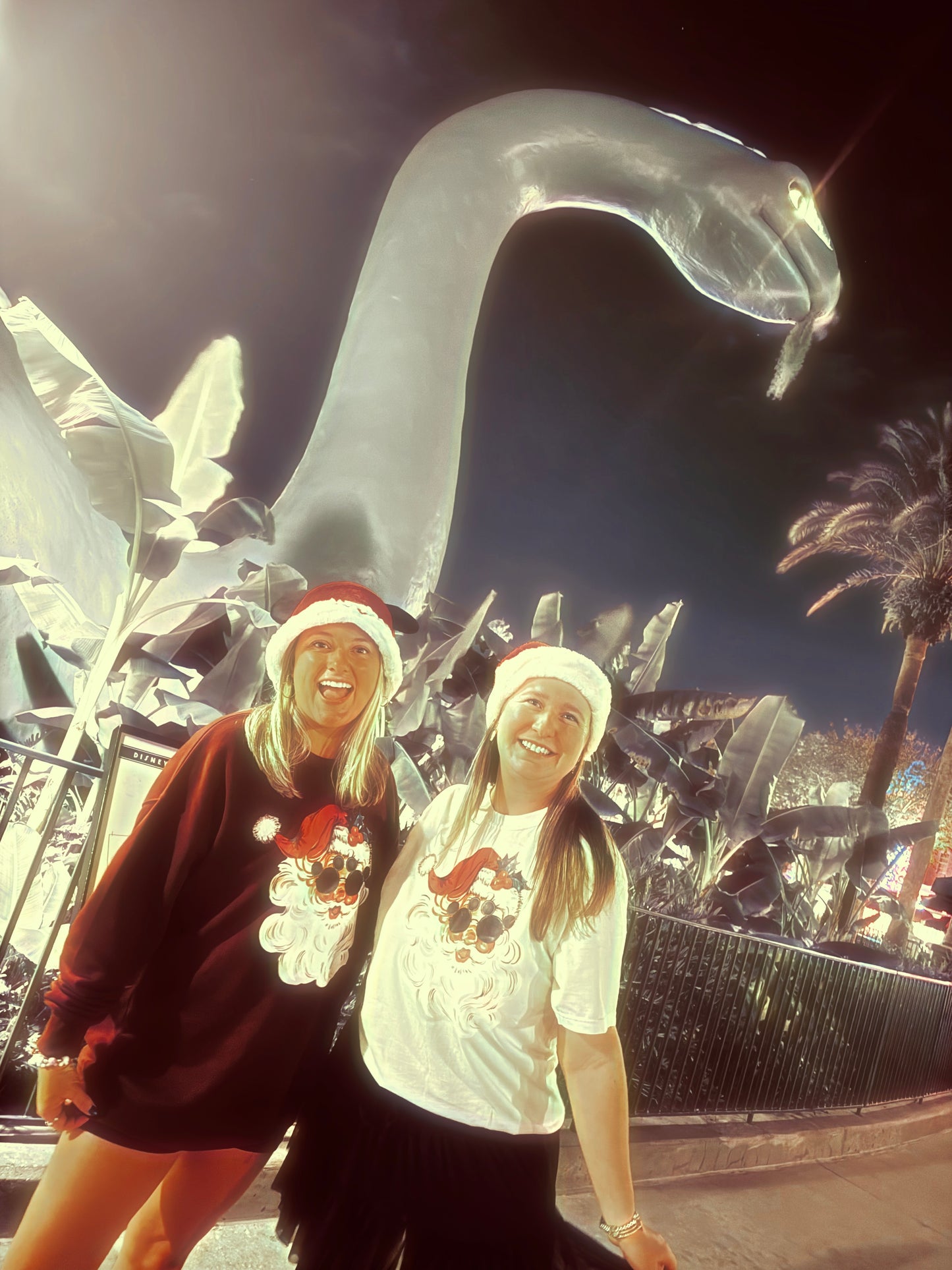 Cool Santa - Tee and Sweatshirt